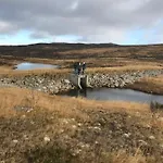 Remestoylflotti Hyttegrend *