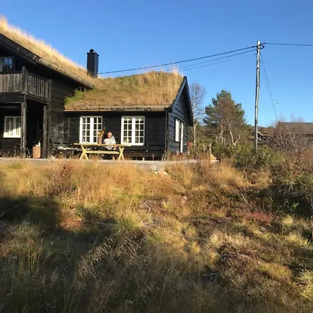 Remestoylflotti Hyttegrend *
