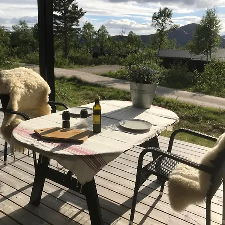Remestoylflotti Hyttegrend Hovden (Aust-Agder)
