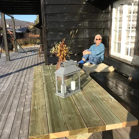 Remestoylflotti Hyttegrend * Hovden (Aust-Agder)