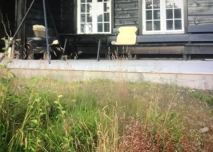 Remestoylflotti Hyttegrend * Hovden (Aust-Agder)